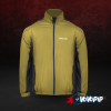 Aperture Summer Windbreaker Mint Green price in bd