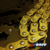 GearX X Ring Racing Motorcycle Chain (Gold) - Image 3